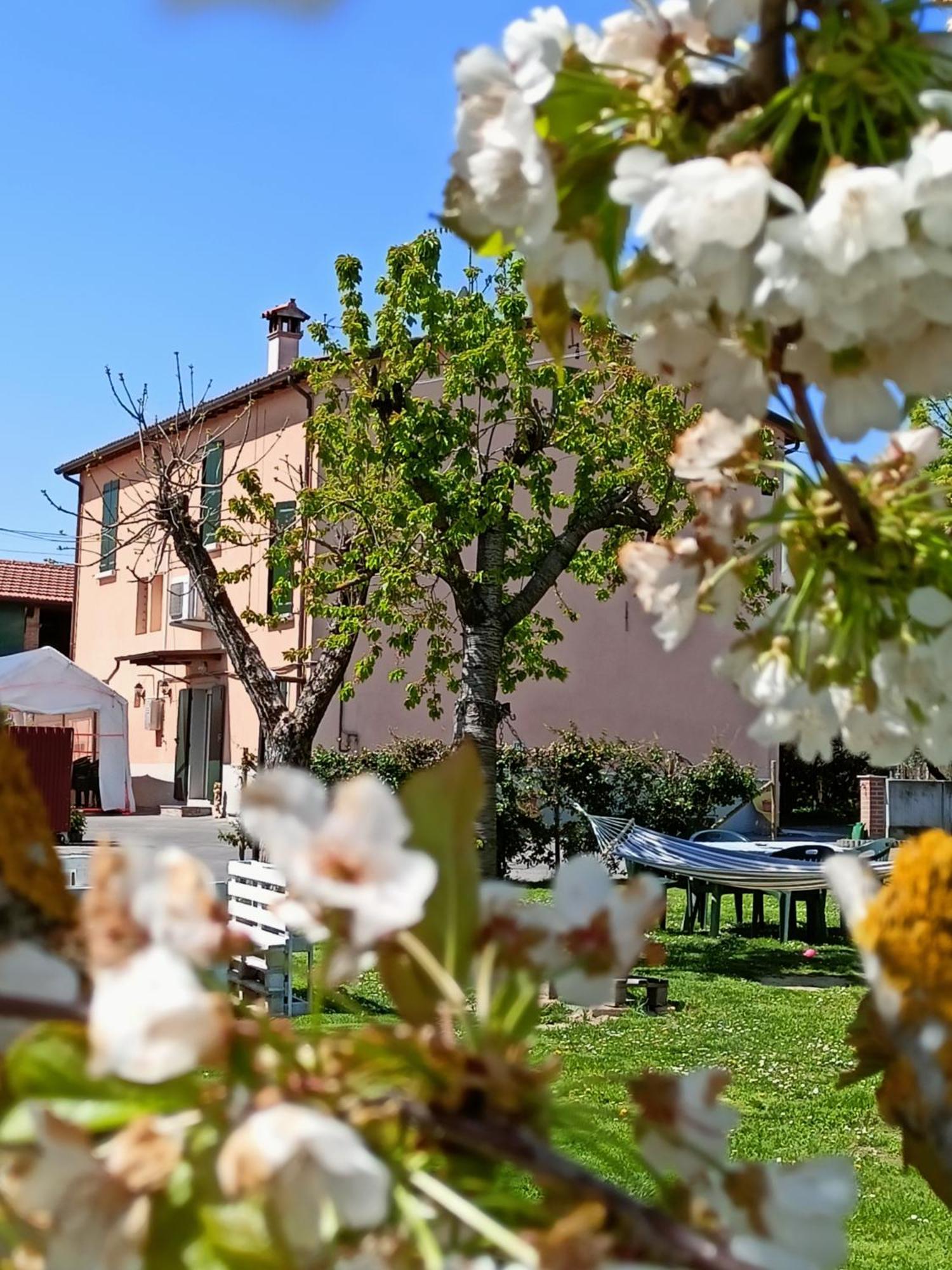 La Casa Della Nonna Bed and Breakfast Brisighella Eksteriør billede